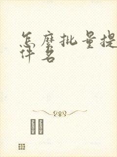 怎么批量提取文件名