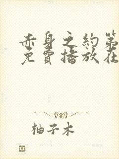 赤身之约第二季免费播放在线观看