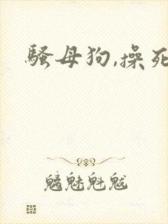 骚母狗,操死你