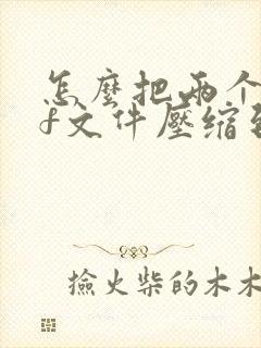 怎么把两个pdf文件压缩到一起