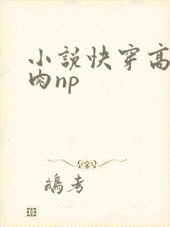 小说快穿高h纯肉np