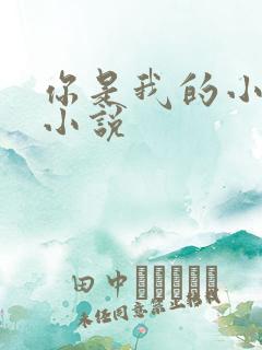 你是我的小确幸小说
