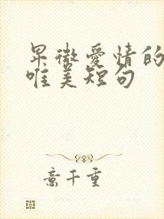 卑微爱情的句子唯美短句