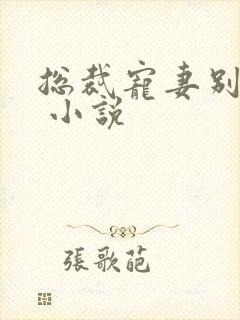 总裁宠妻别太坏 小说