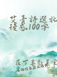 艾青诗选北方读后感100字