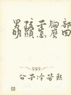 男孩子胸部突出明显怎么回事