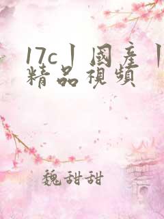 17c丨国产丨精品视频