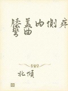 膝盖内侧疼不敢弯曲