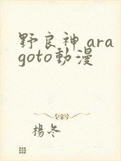 野良神 aragoto动漫