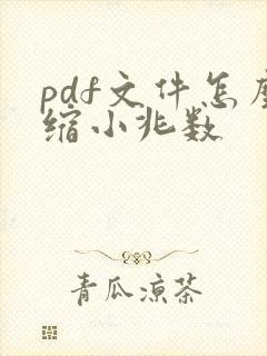 pdf文件怎么缩小兆数