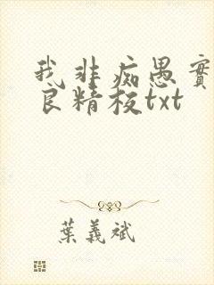 我非痴愚实乃纯良精校txt