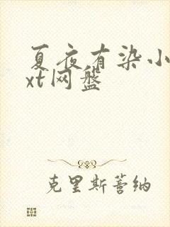 夏夜有染小说txt网盘