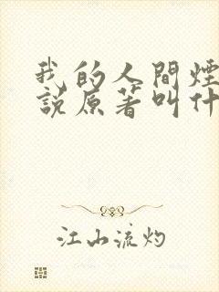 我的人间烟火小说原著叫什么