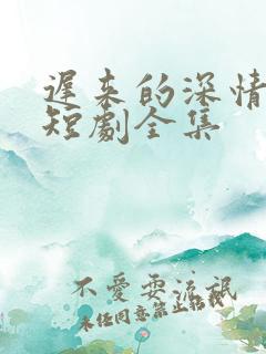 迟来的深情许墨短剧全集