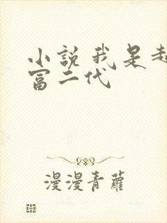 小说 我是超级富二代