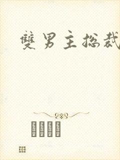 双男主总裁攻