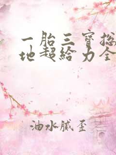 一胎三宝总裁爹地超给力全文免费阅读
