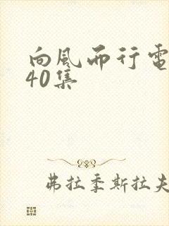 向风而行电视剧40集