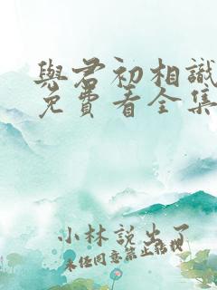 与君初相识42免费看全集