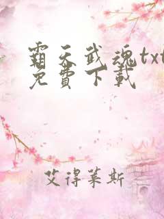 霸天武魂txt免费下载