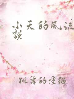 小天的风流史小说