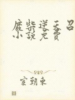 废柴逆天召唤师小说免费