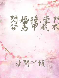 闪婚后,豪门老公马甲藏不住第三部