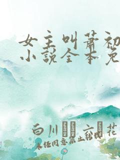女主叫萧初然的小说全本免费阅读