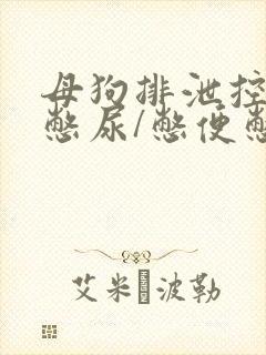 母狗排泄控制/憋尿/憋便憋生 小说