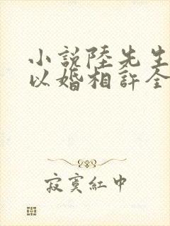 小说陆先生偏要以婚相许全文