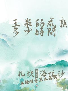 玉米的成熟期需多少时间