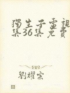 独生子电视剧全集36集免费观看