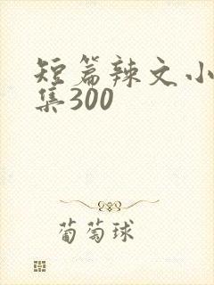 短篇辣文小说合集300