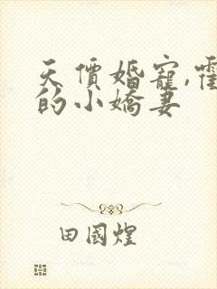 天价婚宠,霍总的小娇妻