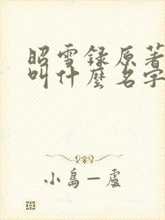 昭雪录原著小说叫什么名字