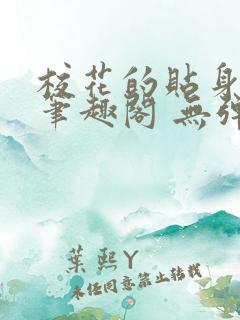 校花的贴身高手笔趣阁 无弹窗
