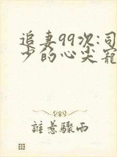 追妻99次:司少的心尖宠