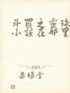 斗罗之灵珠神剑小说在哪里看