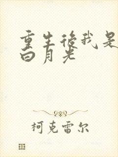 重生后我是大佬白月光