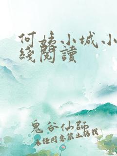 何姨小城小说在线阅读