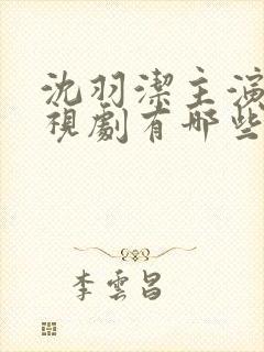 沈羽洁主演的电视剧有哪些