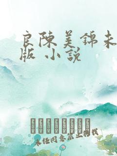 良陈美锦未删减版 小说
