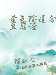 黄色阴道分泌物豆腐渣