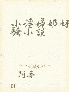 小淫妇奶好大好骚小说