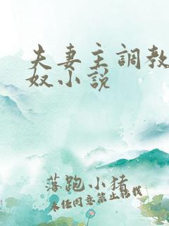 夫妻主调教夫妻奴小说