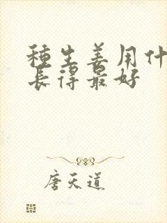 种生姜用什么肥长得最好
