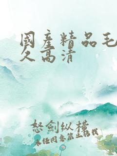 国产精品毛片久久高清