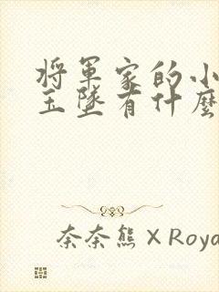 将军家的小娘子玉坠有什么秘密