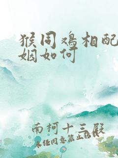 猴同鸡相配吗婚姻如何