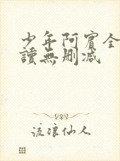 少年阿宾全文阅读无删减